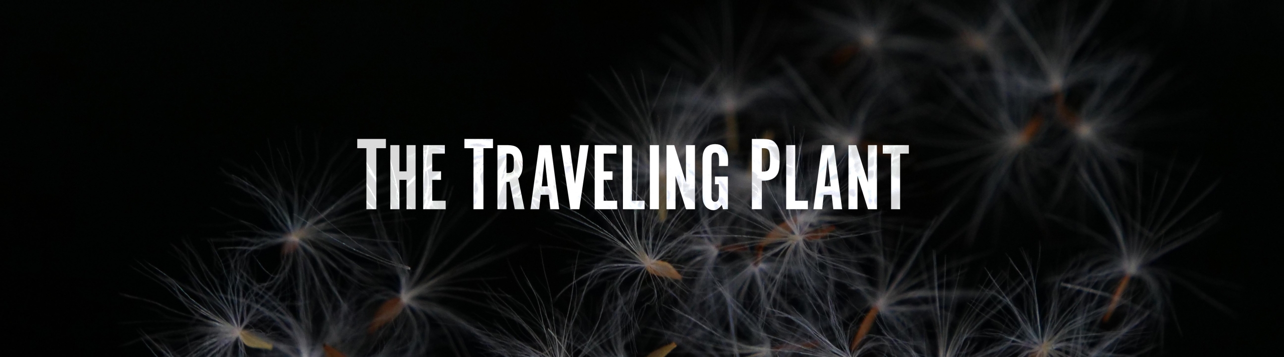 Traveling Plant
